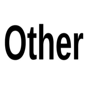 その他